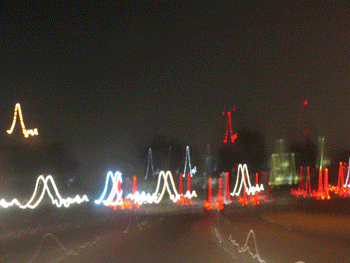night animated
