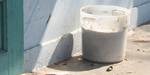 bucket