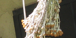 hanger