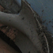 shovel