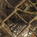 fence