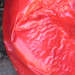 pepper