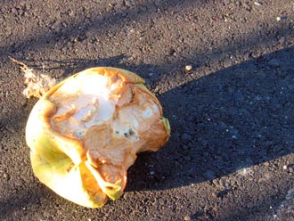 apple
