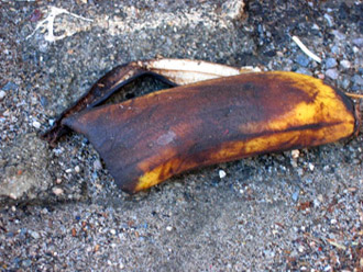 banana