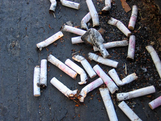 cig buds