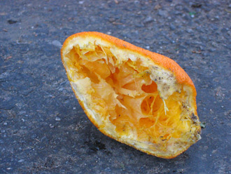 orange slice
